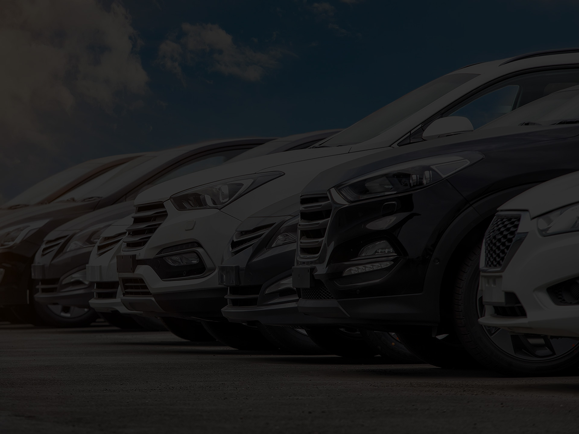 Welcome to our new website!